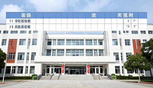 信息查询平台两种使用方式的优劣对比与选择建议